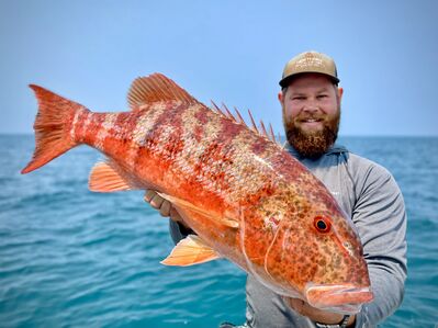 Tinny Podcast #790: Reducing shark depredation. The metery that almost was. And the bogging of Cal.