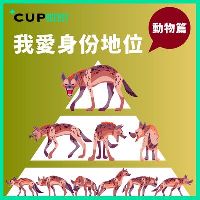 【*CUPodcast】#89 我愛身份地位（動物篇）