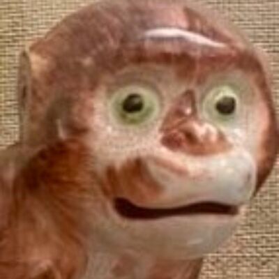 Everybody Wants To Fool The World