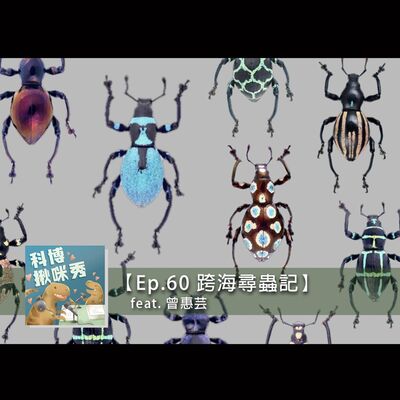 EP.60 跨海尋蟲記 feat. 曾惠芸 aka 外表像大學生的大學教授