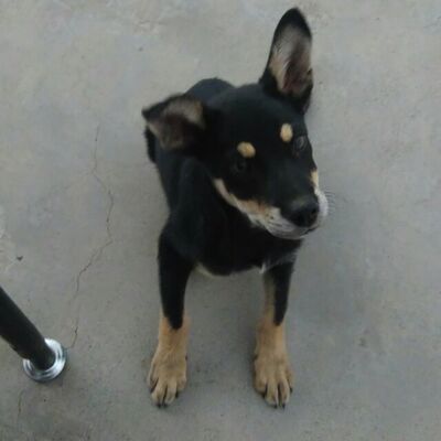 关于“网络”你想知道啥