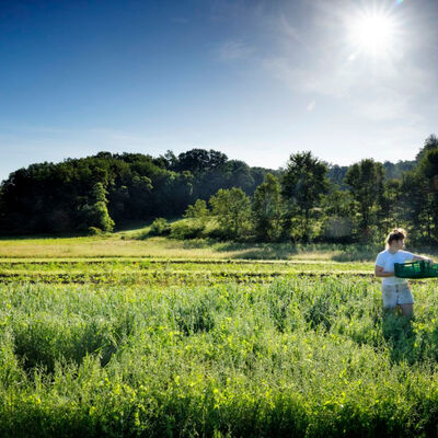 "Growing Pennsylvania's Future" with Karen Gardner