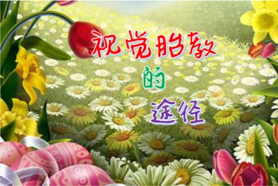 视觉胎教的途径！