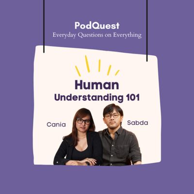 Human Understanding 101