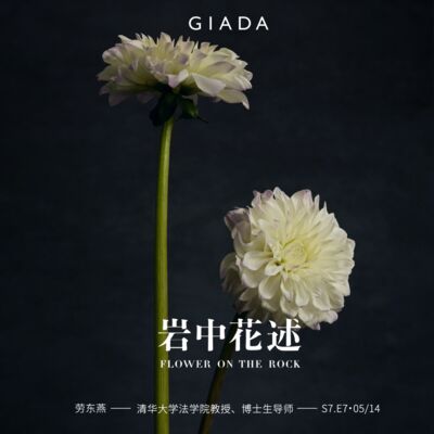 S7E7 鲁豫对话劳东燕 | 敢于面向黑暗，恰因此心光明