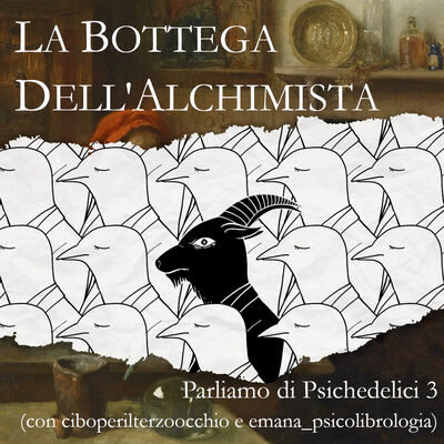 Parliamo di Psichedelici 3 (con ciboperilterzoocchio e emana_psicolibrologia)