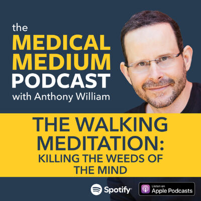 110 The Walking Meditation: Killing The Weeds Of The Mind