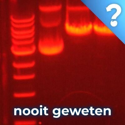 #112 Het immuunsysteem van bacteriën