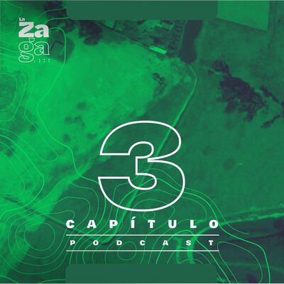 Parte 3: La muerte de un humedal