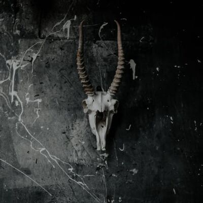 源界1记忆之探S04E09