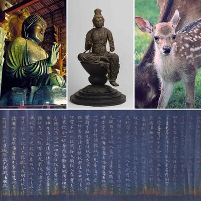 #129 Nara, Japón