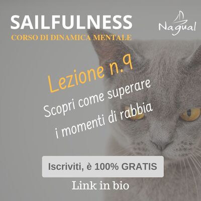 22 - SF9 | Come superare i momenti di rabbia