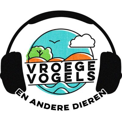 #9 - VVEAD: De Verdwenen Beer (3) (S04)