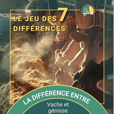 [Le jeu des 7 différences] - Vache et génisse