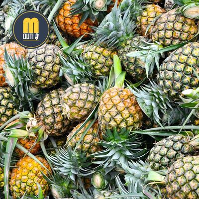 80 | Aumentare gli aromi tropicali nella birra