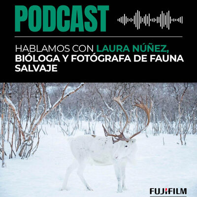 Hablamos con Laura Núñez, bióloga y fotógrafa de fauna salvaje