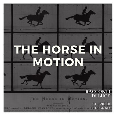 ICONIC 08 The Horse In Motion