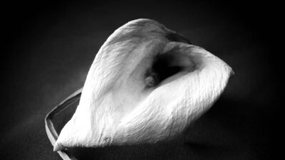 Check out some of the Photo Assignment Entries!