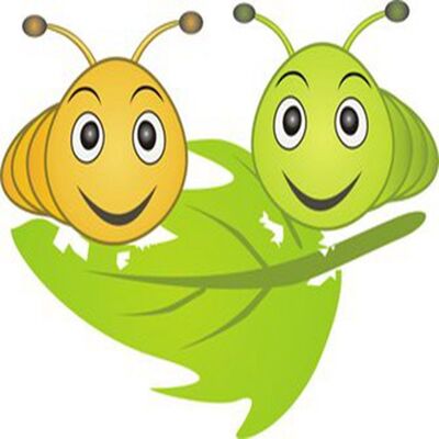 【毛毛虫效应】只顾低头走路，走的可能是冤枉路