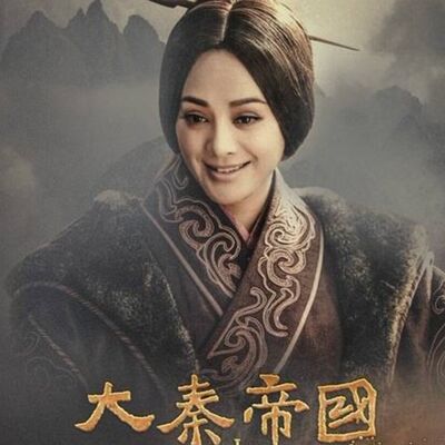 历史趣闻录 历史上的芈八子很污吗