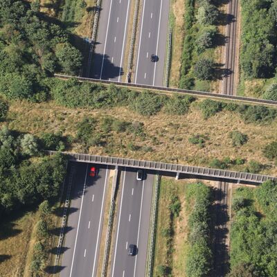 #35 Het ecoduct: een viaduct voor dieren