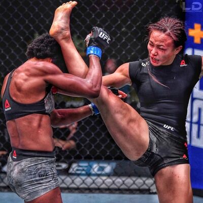 Waterson vs Hill / UFC Fight Night Vegas 10