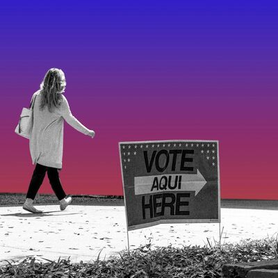 What Next: When Cops Police Your Vote