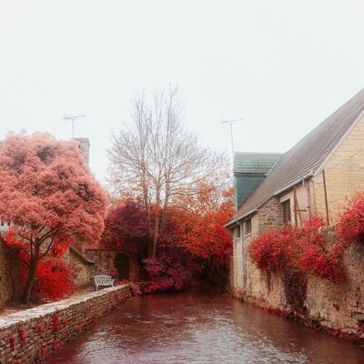 FREEDOM & FASHION With Derek Guy