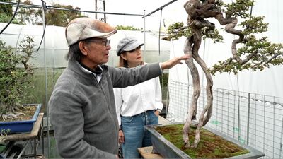 藝術項目《彼岸》, 香港國際海報三年展《無域》& 現場表演: 電子組合 Bedroom Party