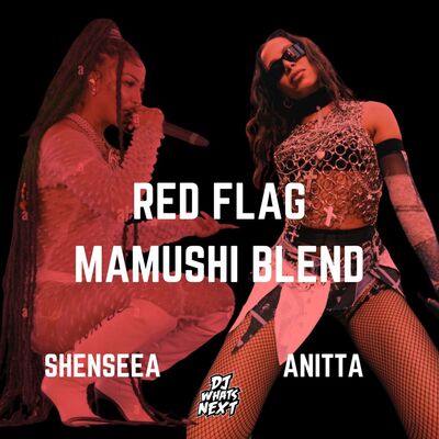 SHENSEEA FT. ANITA - RED FLAG (MAMUSHI) (DJ WHATSNEXT EDIT) (DIRTY)