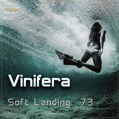Vinifera – Soft Landing #73