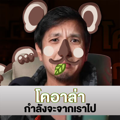 โคอาล่ากำลังจะจากเราไป!!!