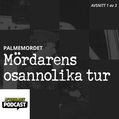 Palmemordet del 1: Mördarens osannolika tur