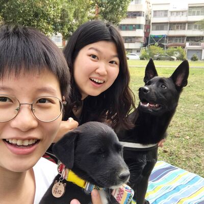 如何讓你家的狗同意你當中途家庭？她從23歲開始，三年間幫助22隻浪浪回家！