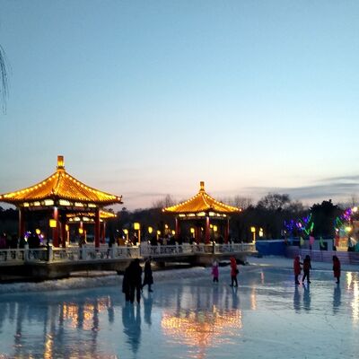 汇明赏析《诗经》蒹葭——解析在水一方的情感人生