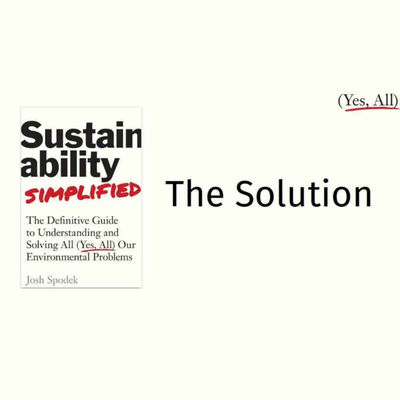 815: A Course in Sustainability Leadership: 2: The Solution