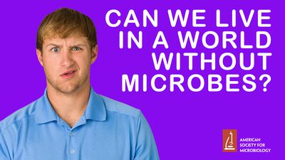 MWV 104 - Can We Live in a World Without Microbes?