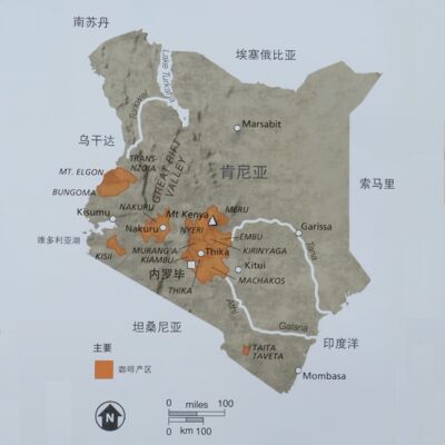 85 🇰🇪产地见闻录：好喝的肯尼亚咖啡去哪了？