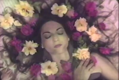 Hundreds Of Dead Bodies #24 - Possibly In Michigan