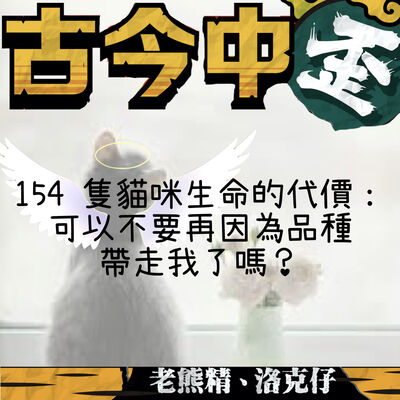 154 隻貓咪生命的代價：可以不要再因為品種帶走我了嗎？｜《古今中歪 EP.18》
