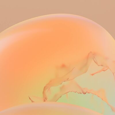 Verstandelijke beperking