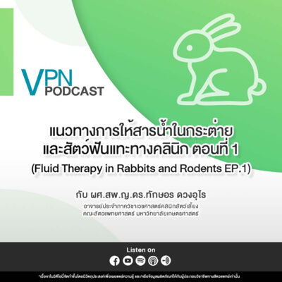VPN Podcast EP.63 - แนวทางการให้สารน้ำในกระต่าย และสัตว์ฟันแทะทางคลินิก ตอนที่ 1