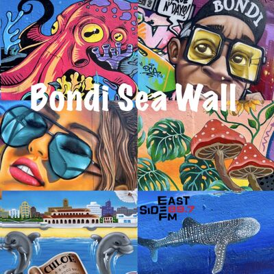 Bondi Sea Wall – Intro