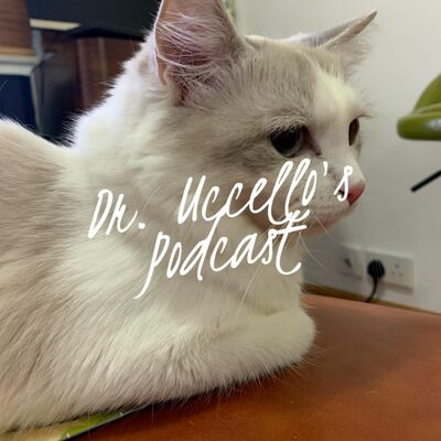 小鳥信箱 —— 真的有天才症嗎、簡單介紹學者症候群、亞氏保加症患者是否都是天才