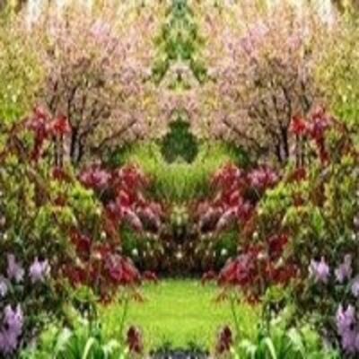 Caminata de Sueños a tu Jardín Secreto