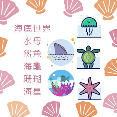 #9 鯊魚會吃人嗎？