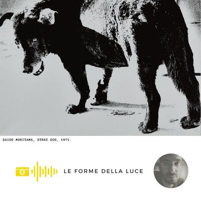 La Street Photography di Daido Moriyama