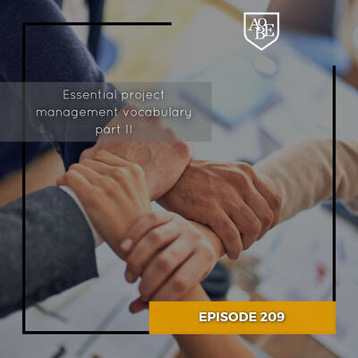 Essential Project Management vocabulary part 2