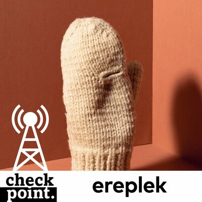 Podcast Ereplek #7 Peter van 't Hoff - Noorse want