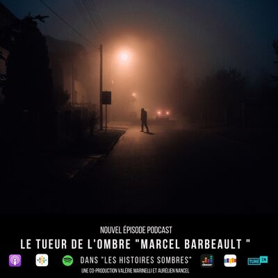Le Tueur de L'Ombre